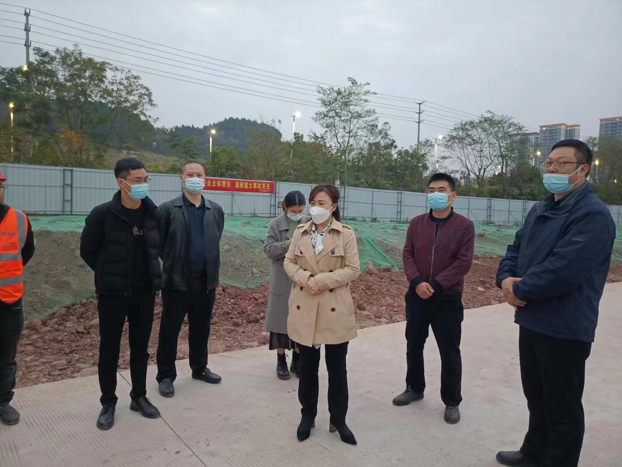 縣國資金融局領導視察并指導博泰公司重點項目建設工作